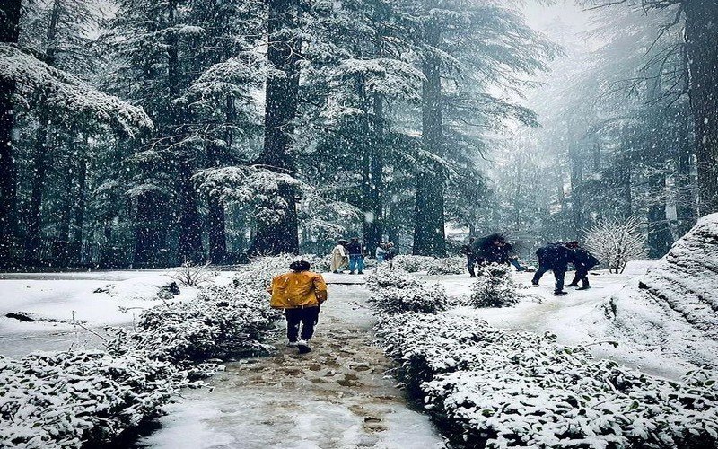 Manali Honeymoon Package From Chennai