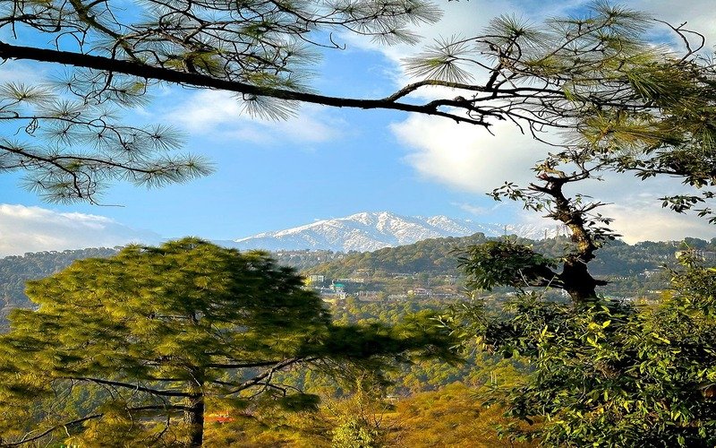 Dharamshala Tour Package From Nagpur