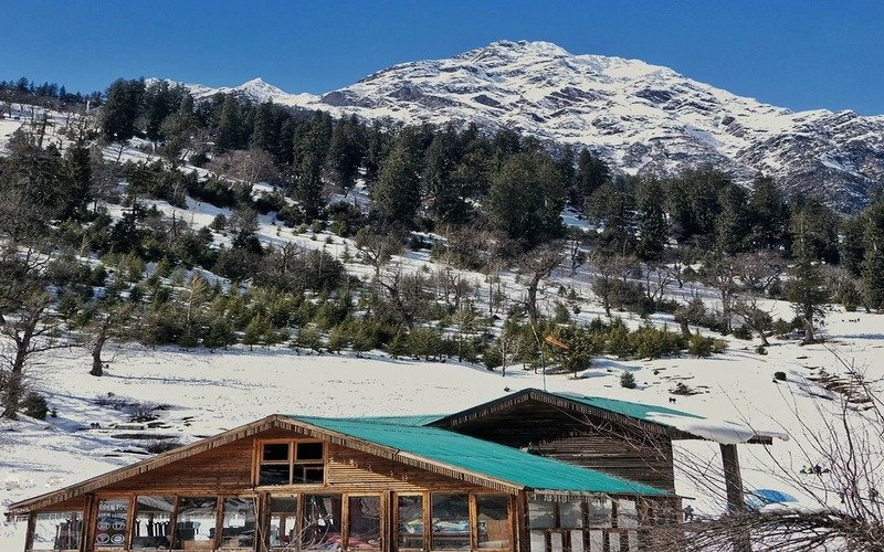 Shimla Kullu Manali Family Tour Package From Ahmedabad